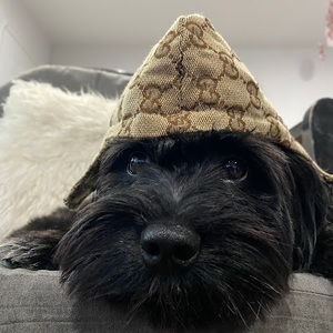 Meet your Posher, Alejandra